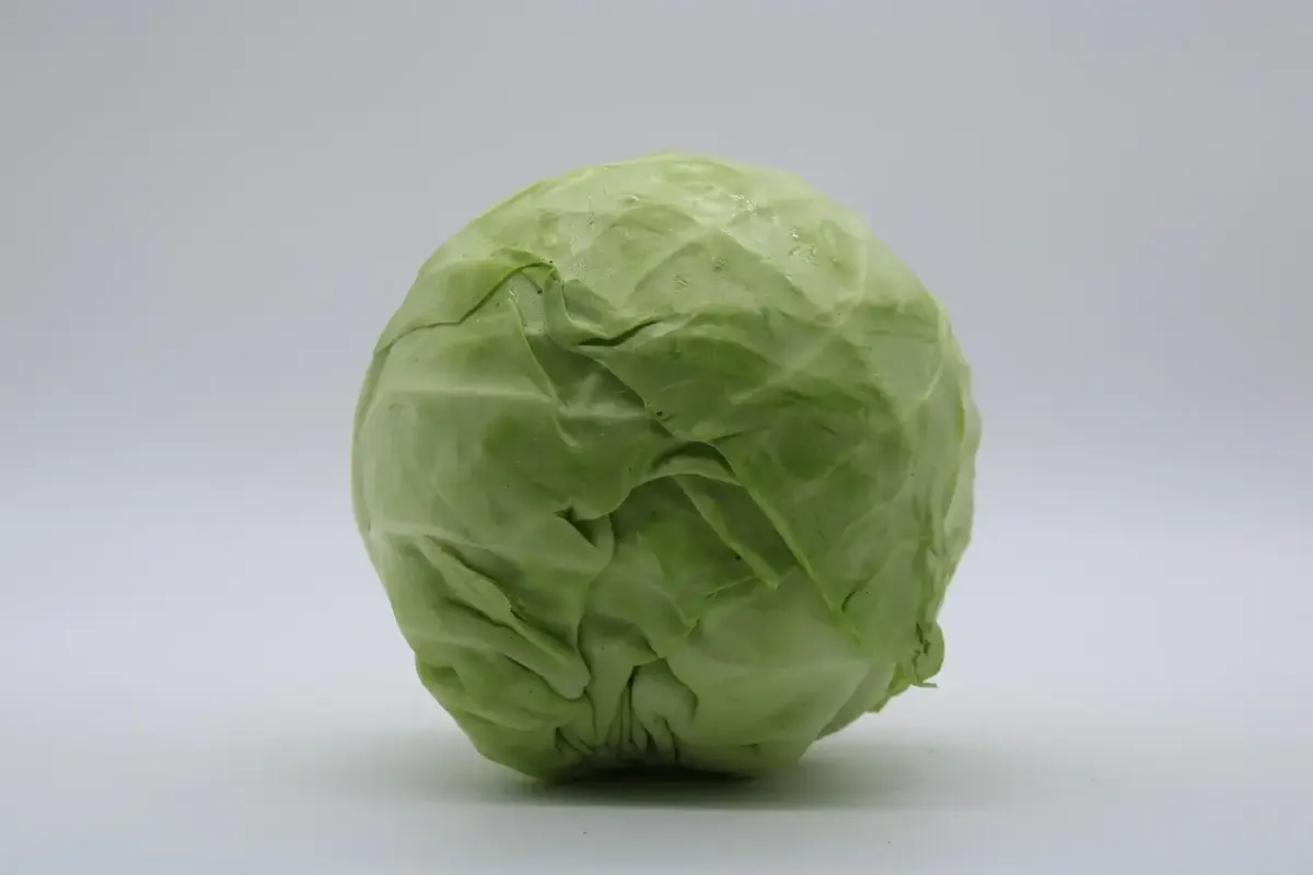 Devis chirurgie tunisie