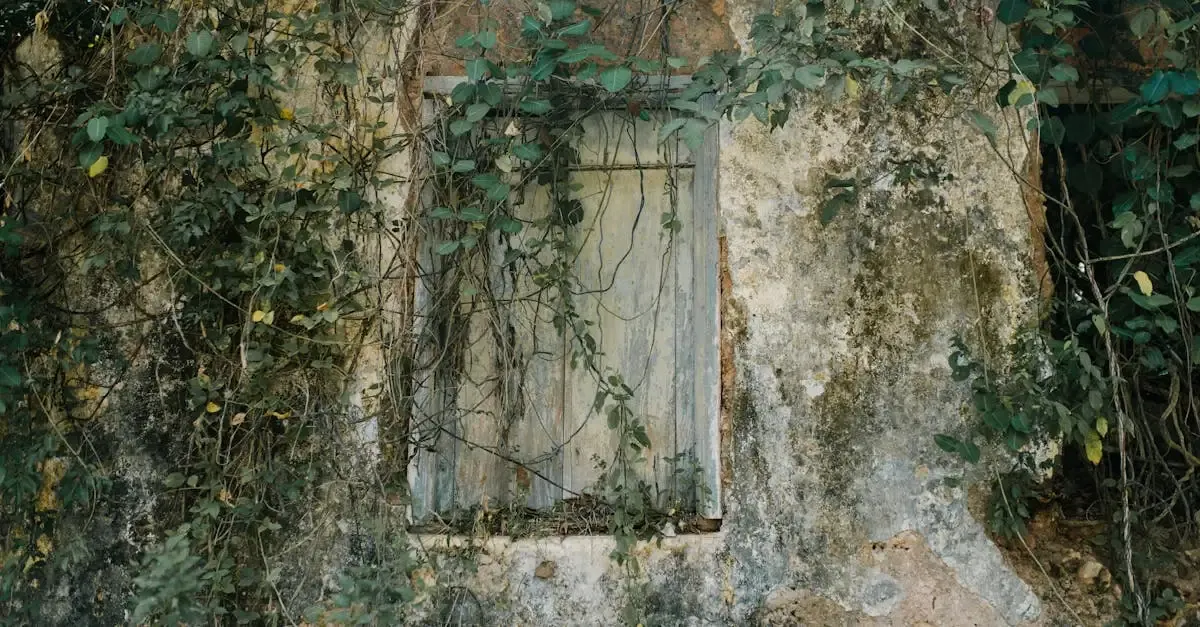 Devis volet en bois