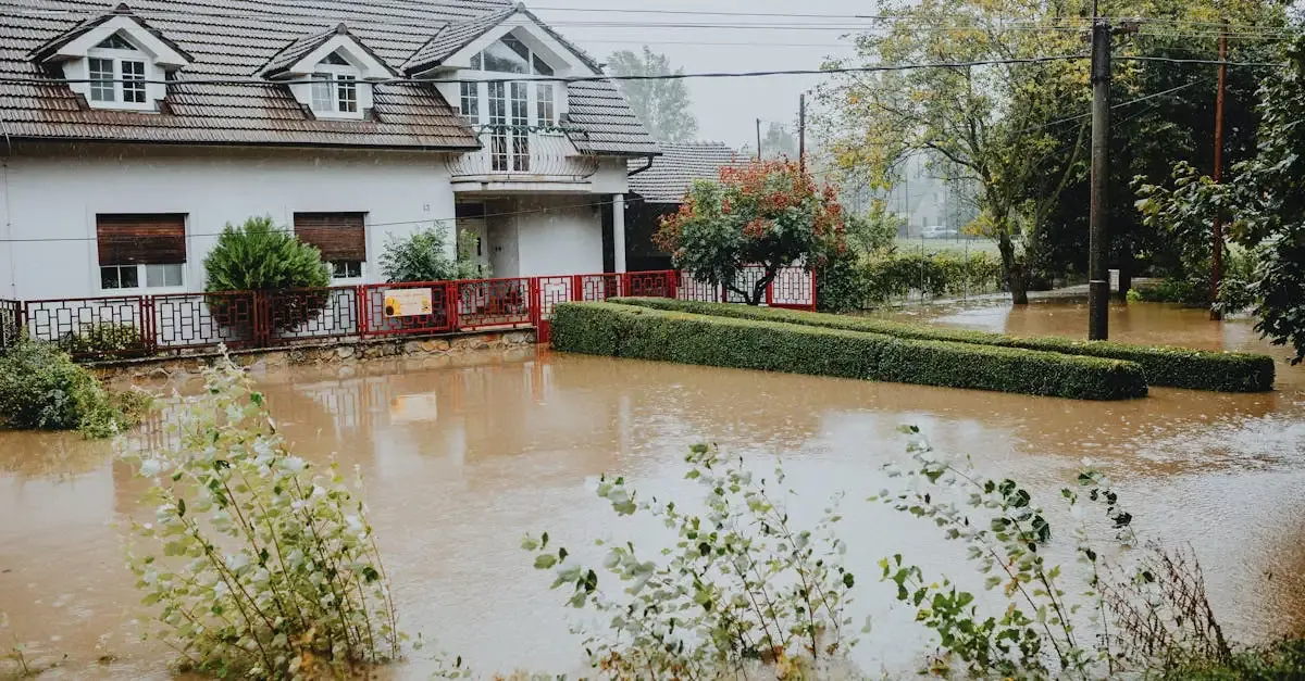 Devis peinture après dégâts des eaux : Estimation rapide