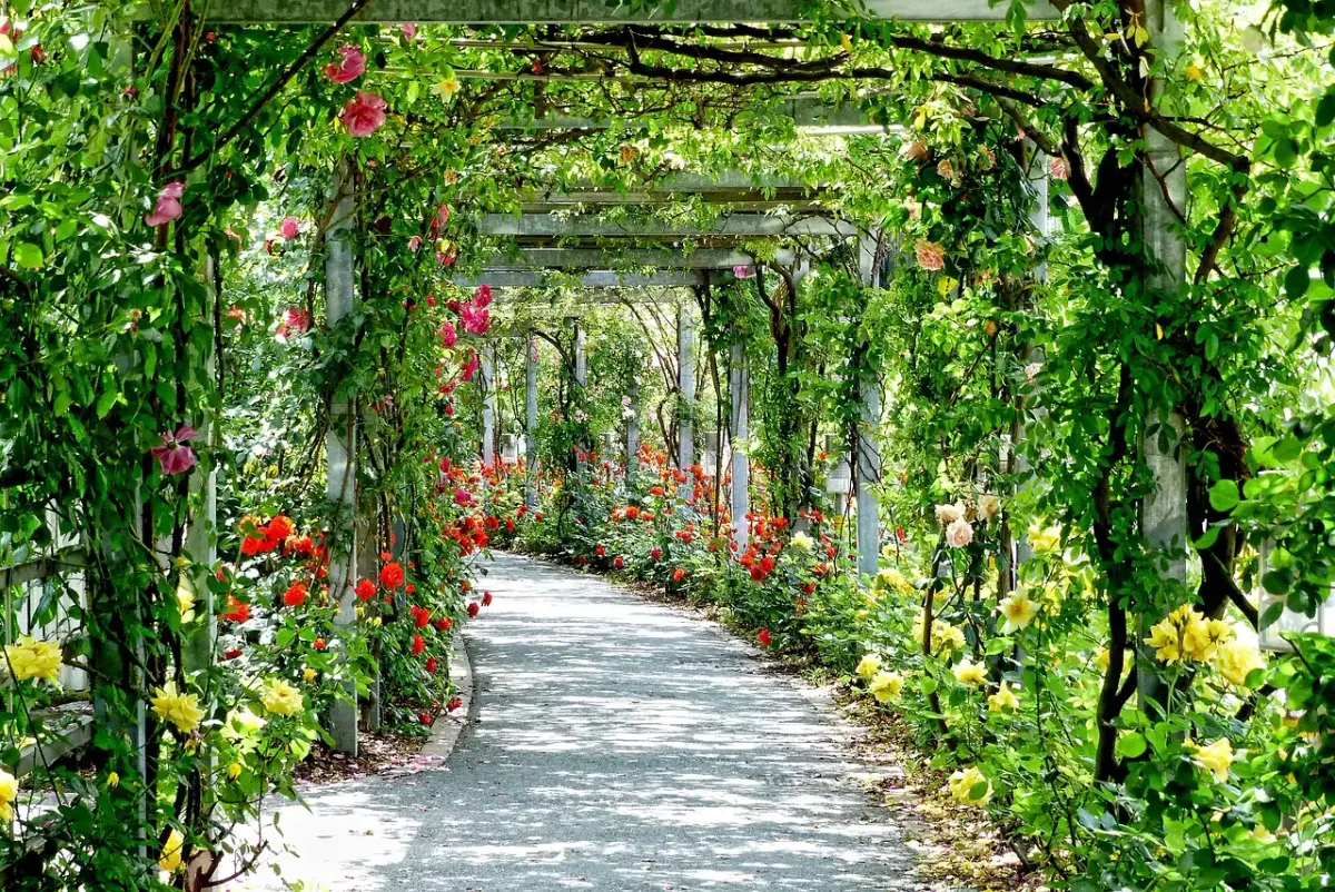 Devis pergola aluminium