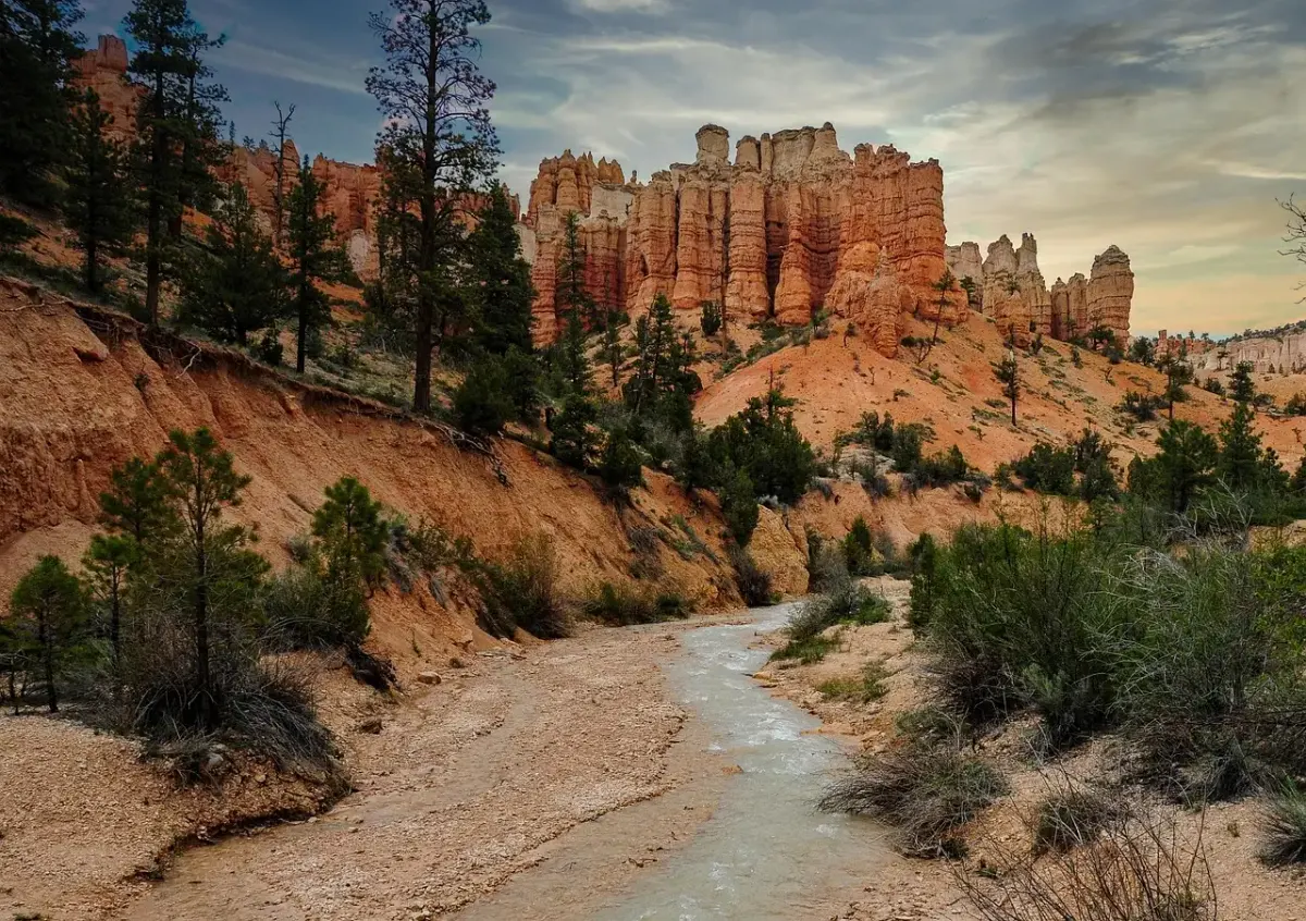 Devis voyage etats unis
