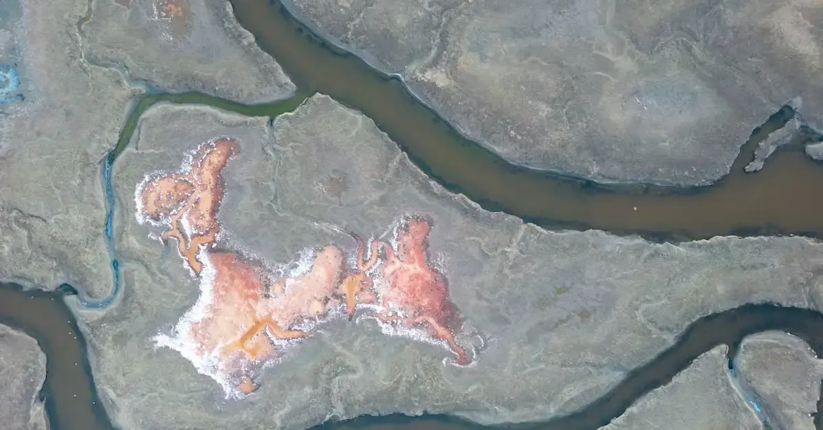 Devis dégat des eaux